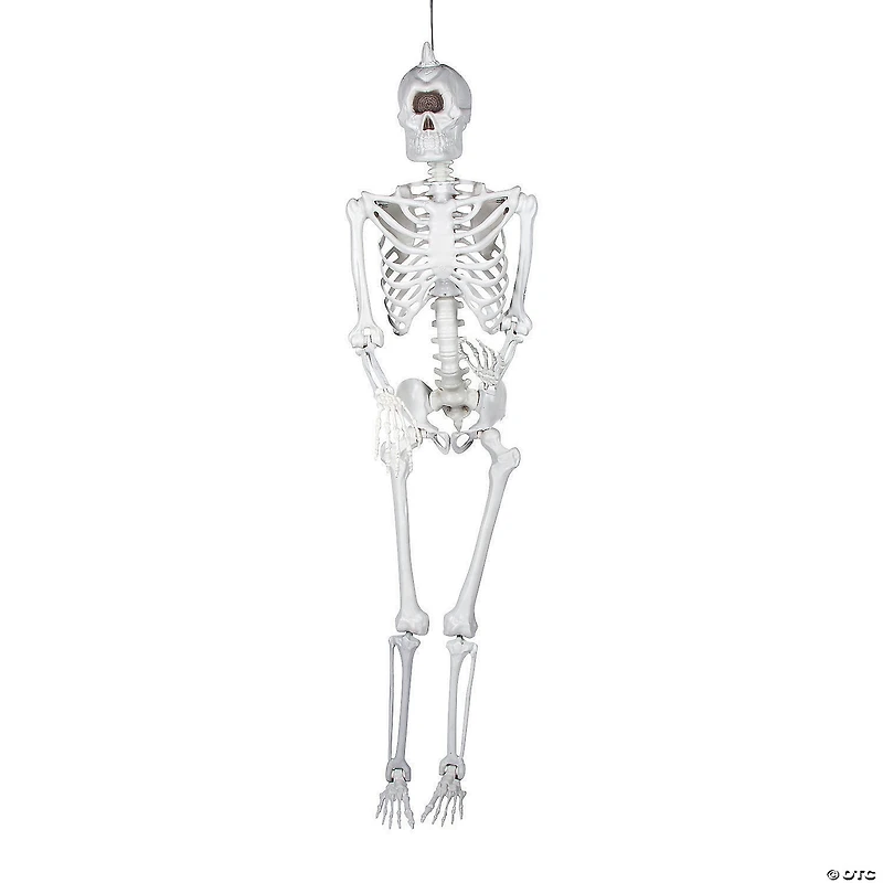 5 Ft. Life-Size Cyclops Skeleton Halloween Decoration
