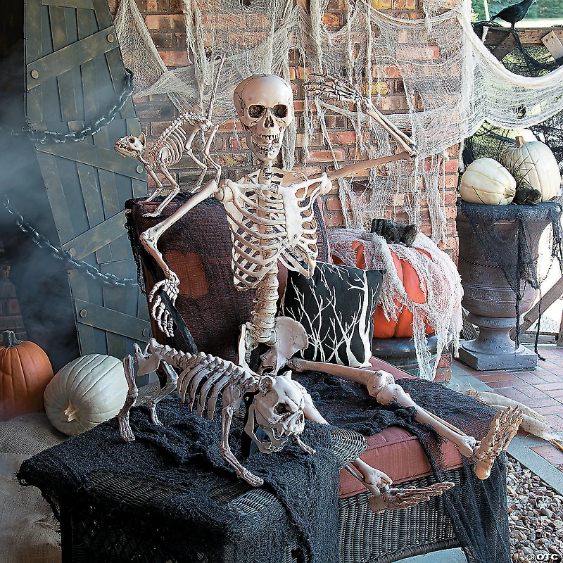 5 Ft. Life-Size Posable Skeleton Halloween Decoration