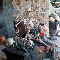 5 Ft. Life-Size Posable Skeleton Halloween Decoration