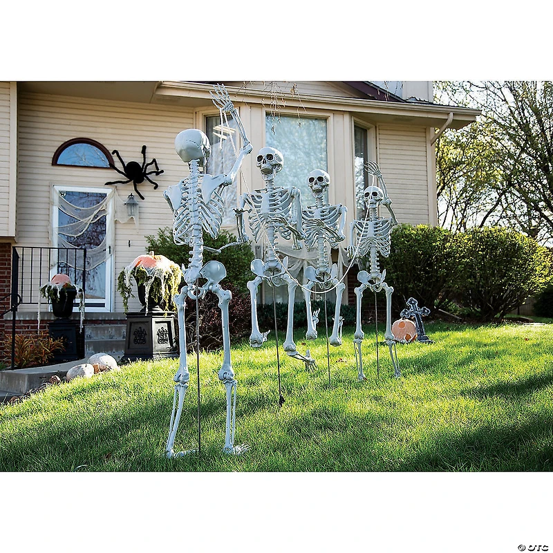 5 Ft. Life Size Posable Skeleton Halloween Decoration