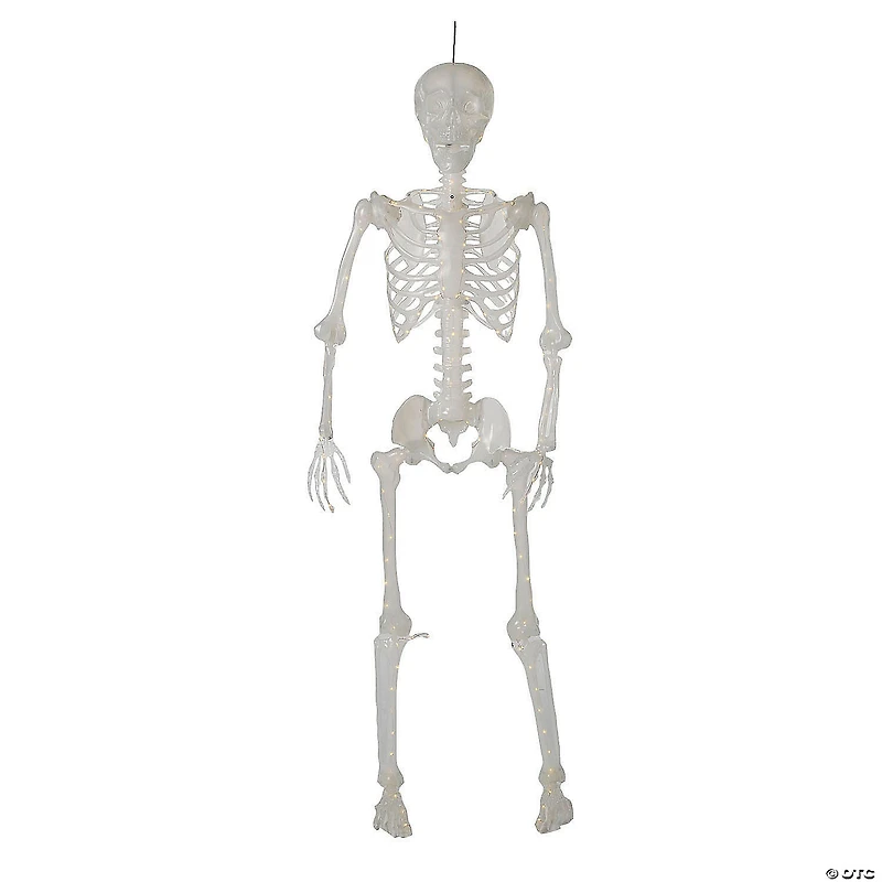 5 Ft. Light-Up Translucent Plastic Skeleton Decoration