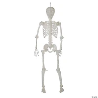 5 Ft. Light-Up Translucent Plastic Skeleton Decoration