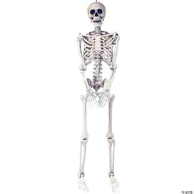 5 Ft. Skeleton Pose & Hold Halloween Decoration
