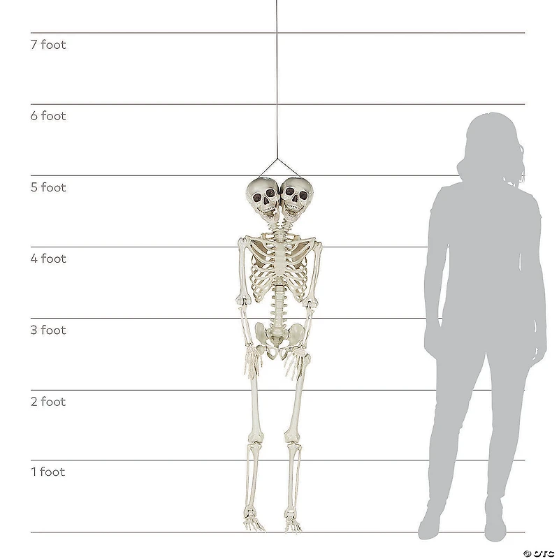5 Ft. Two-Headed Life-Size Posable Skeleton Halloween Decoration