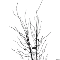 50" LED Lighted Black Halloween Branch Tree with Bats  Warm White Lights