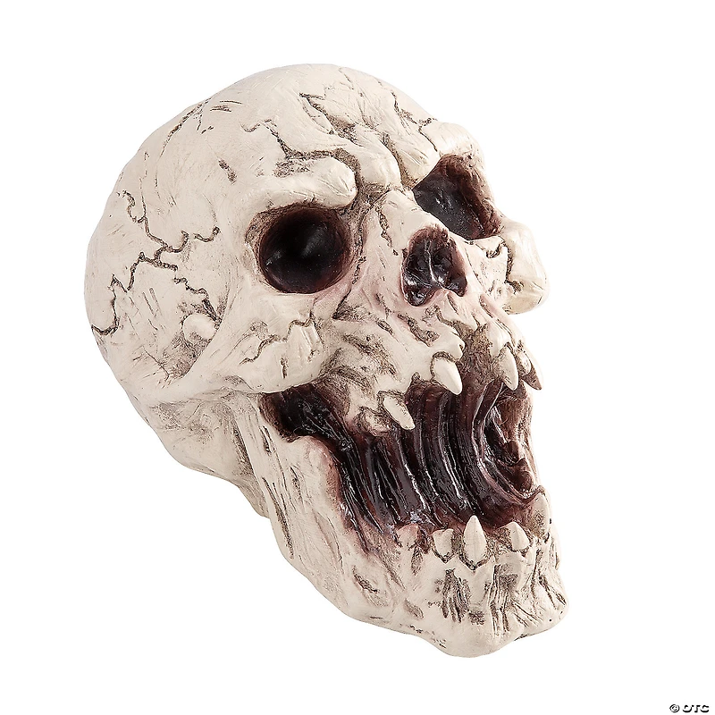 6 1/4" Resin Decaying Skull Halloween Tabletop Decoration