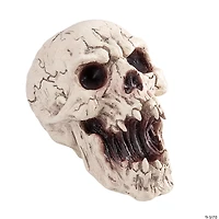 6 1/4" Resin Decaying Skull Halloween Tabletop Decoration