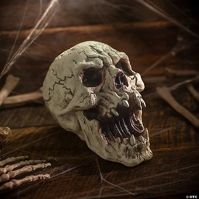 6 1/4" Resin Decaying Skull Halloween Tabletop Decoration