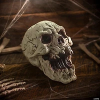 6 1/4" Resin Decaying Skull Halloween Tabletop Decoration