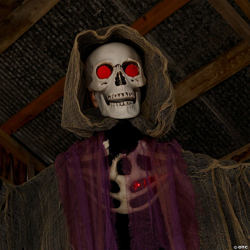 6 Ft. Light-Up Skeletal Reaper in Robes Halloween Hanging Decoration