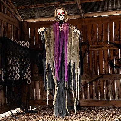 6 Ft. Light-Up Skeletal Reaper in Robes Halloween Hanging Decoration