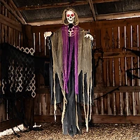 6 Ft. Light-Up Skeletal Reaper in Robes Halloween Hanging Decoration