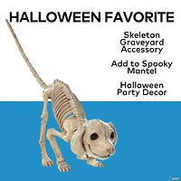 7 1/2" x 4 3/4" Standing Puppy Plastic Skeleton Halloween Decoration