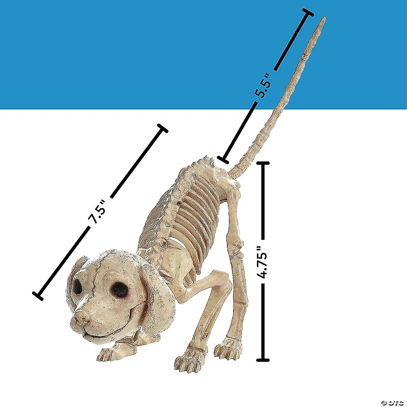 7 1/2" x 4 3/4" Standing Puppy Plastic Skeleton Halloween Decoration