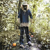 7 Ft. 6" Light-Up Lifting Skeleton Scarecrow Halloween Decoration
