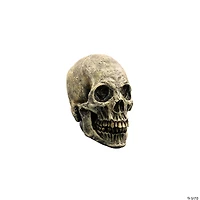 7" Ghoulish Productions Human Skull Halloween Decoration
