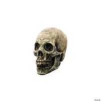 7" Ghoulish Productions Human Skull Halloween Decoration