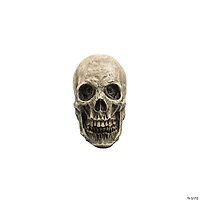 7" Ghoulish Productions Human Skull Halloween Decoration