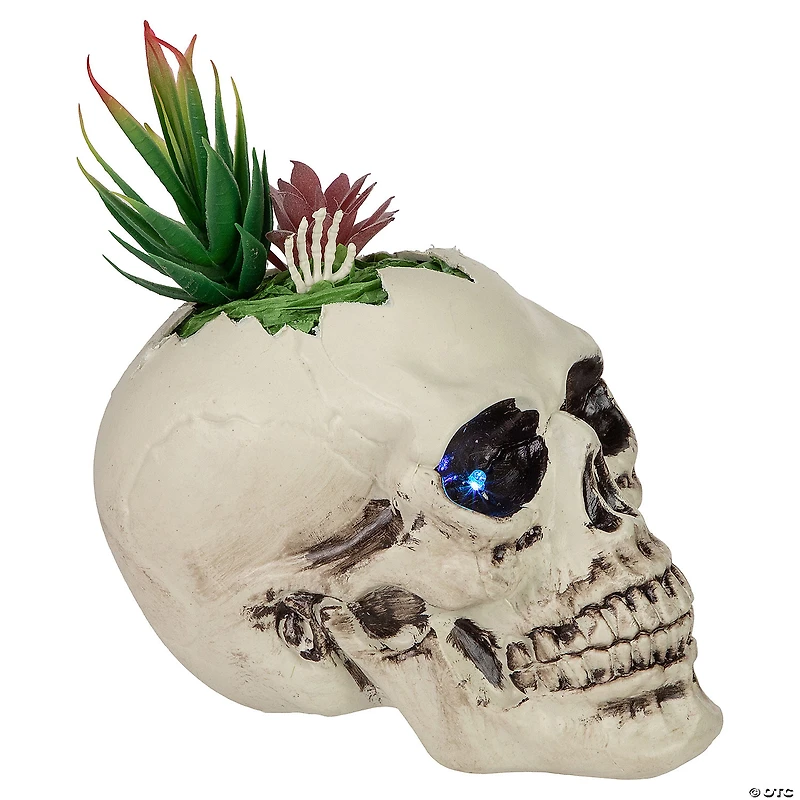 8.75" LED Lighted Succulent Halloween Skull Planter