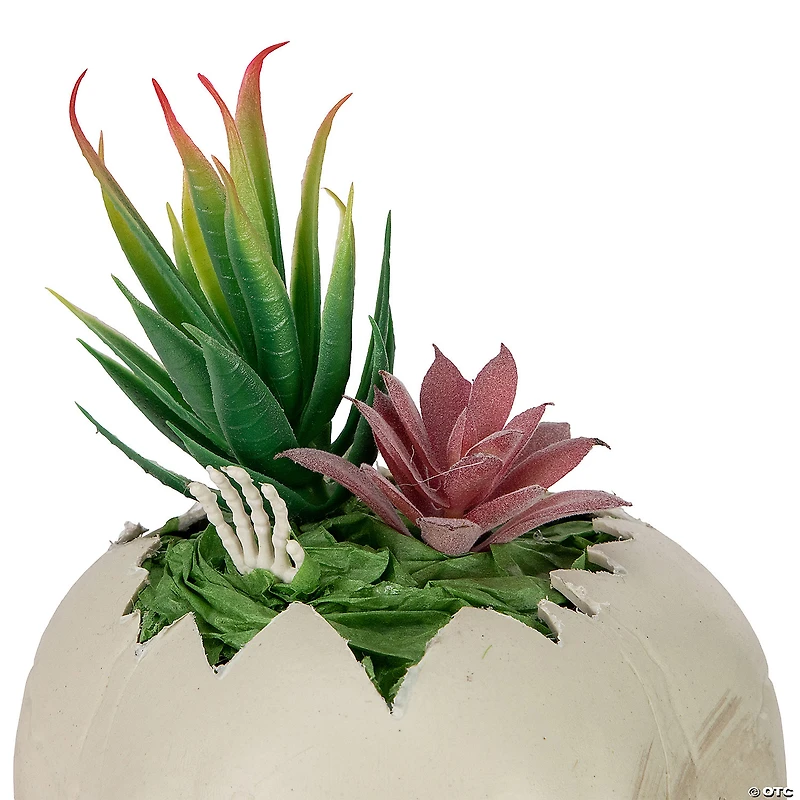 8.75" LED Lighted Succulent Halloween Skull Planter