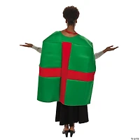 Adult Christmas Present Costume - Standard