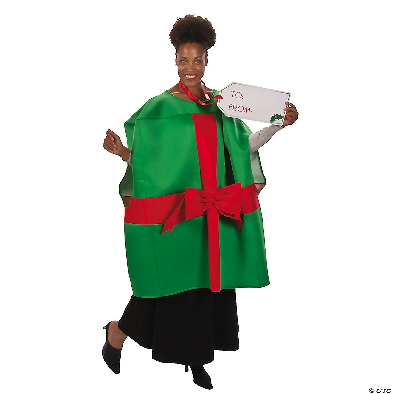 Adult Christmas Present Costume - Standard
