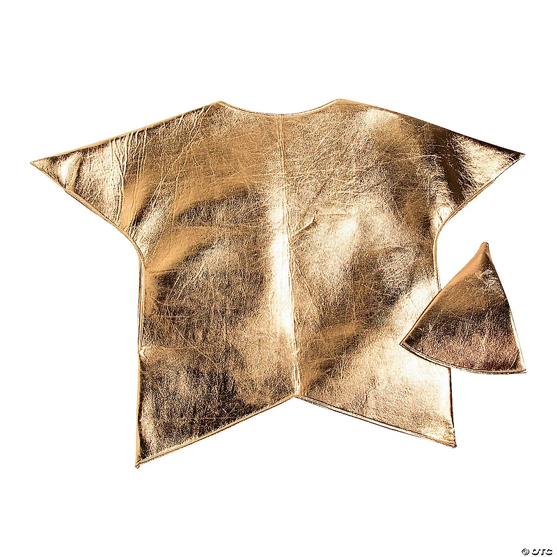 Adult Gold Star Costume - Standard