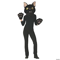 Adults Black Cat Mask & Paws Costume Kit - One Size