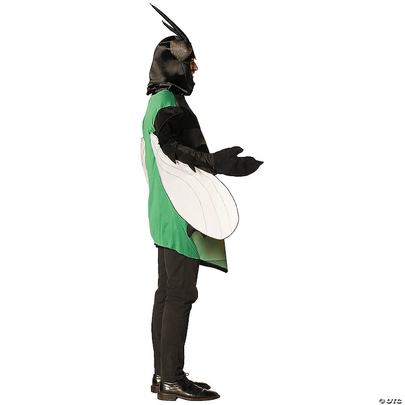 Adults Fly Tunic Costume - One Size