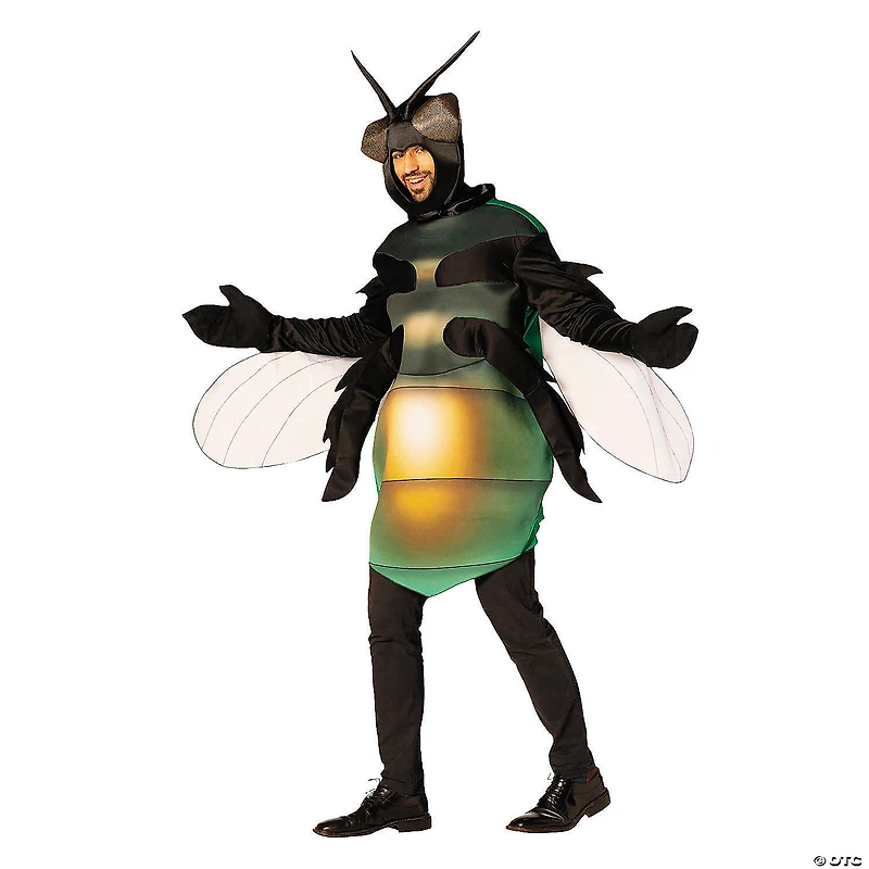 Adults Fly Tunic Costume - One Size