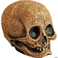 Adults Illusive Concepts™ Cranial Skull Overhead Latex Mask - One Size