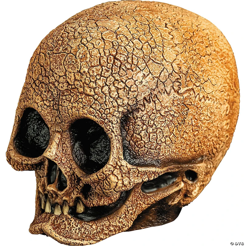 Adults Illusive Concepts™ Cranial Skull Overhead Latex Mask - One Size