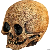 Adults Illusive Concepts™ Cranial Skull Overhead Latex Mask - One Size