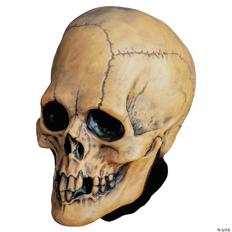Adults Mabry Monsters™ Aged Voodoo Skull Overhead Vinyl Mask - One Size