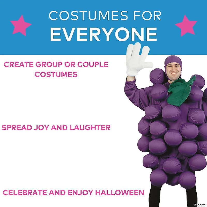 Adults Purple Grapes Costume - Standard