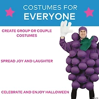 Adults Purple Grapes Costume - Standard
