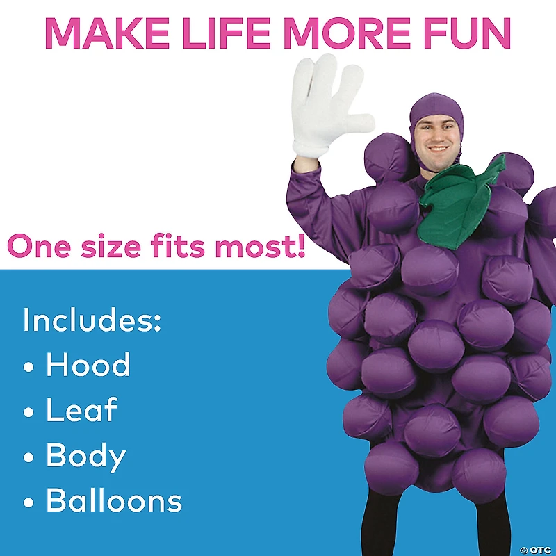 Adults Purple Grapes Costume - Standard