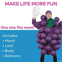 Adults Purple Grapes Costume - Standard
