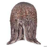 Adults Stranger Things™ Vecna Overhead Latex Mask - One Size