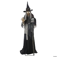 Animated Lunging Haggard Witch