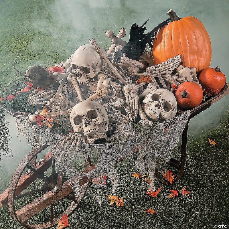 Bag of Bones Halloween Decoration