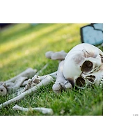 Bag of Bones Halloween Decoration