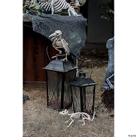Bag of Bones Halloween Decoration