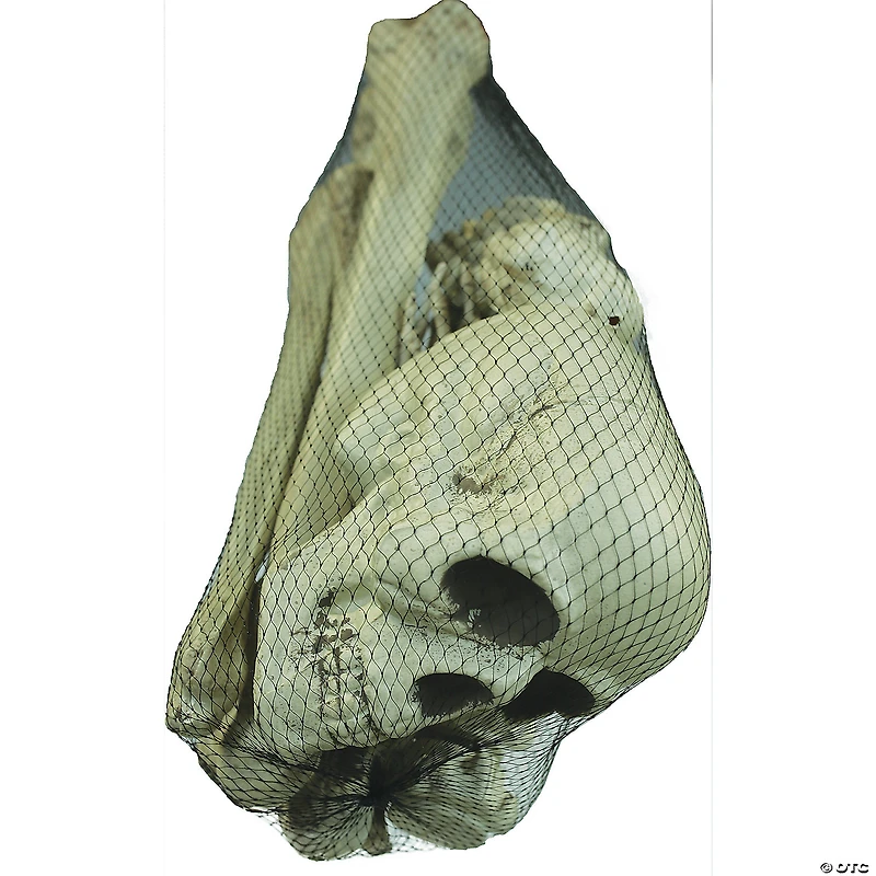 Bag Of Bones