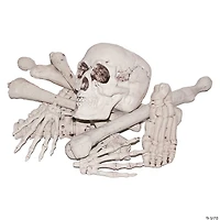 Bag Of Bones