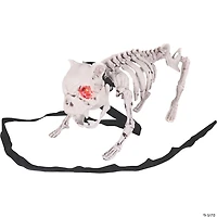 Barking Dog Skeleton Halloween Decoration