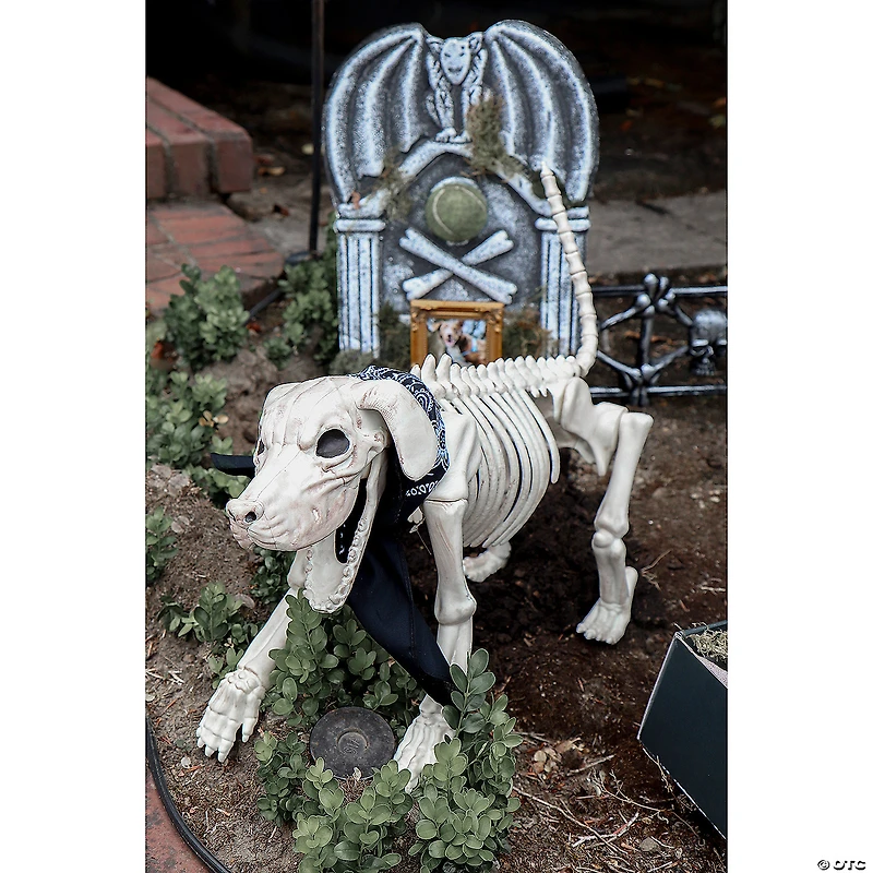 Beagle Bonez Dog Skeleton Halloween Decoration