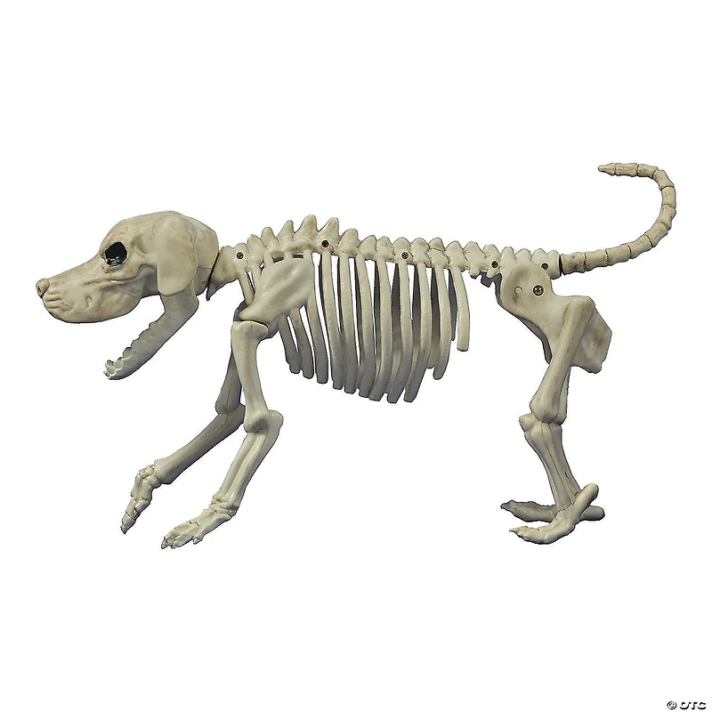 Beagle Bonez Dog Skeleton Halloween Decoration