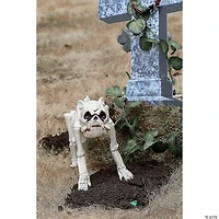 Bones the Dog Skeleton Halloween Decoration