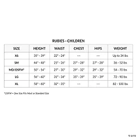 Boy's Photo-Real DC Comics The Flash Costume